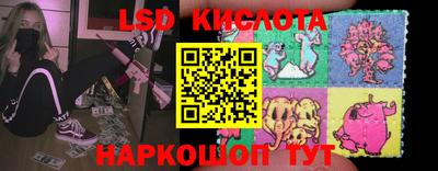 стаф Сланцы
