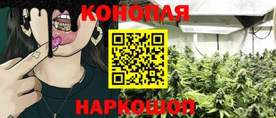 стаф Сланцы