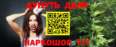 стаф Сланцы