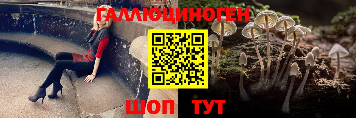 Псилоцибиновые грибы мицелий Павлово